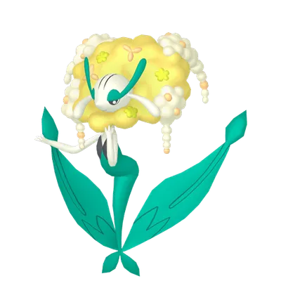 の画像