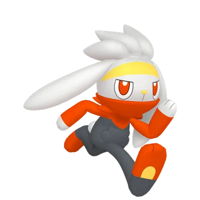 ラビフットの画像