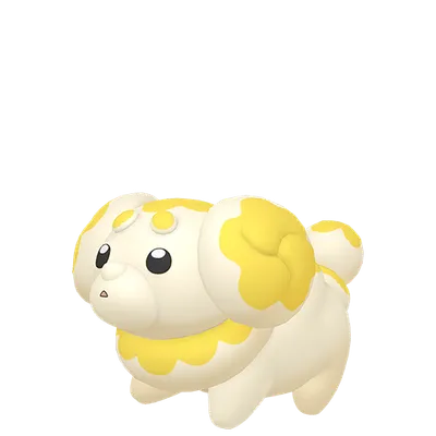 パピモッチの画像