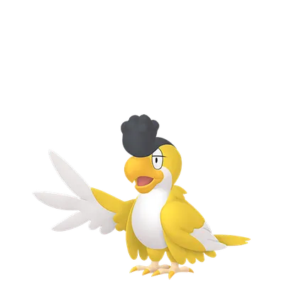 イキリンコ イエローフェザーの画像
