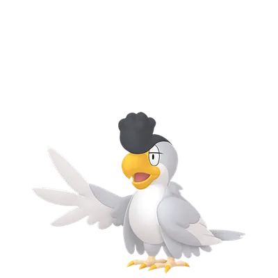 イキリンコ ホワイトフェザーの画像
