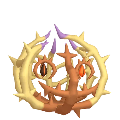 アノホラグサの画像