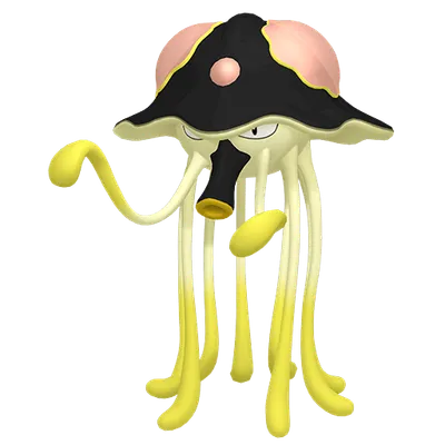 リククラゲの画像