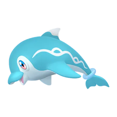 ナミイルカの画像