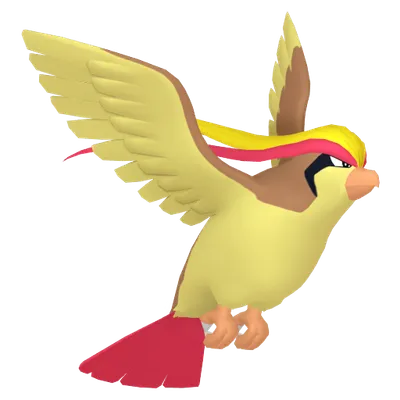 ピジョットの画像