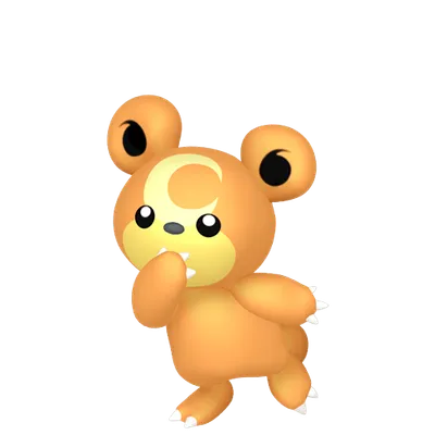 ヒメグマの画像
