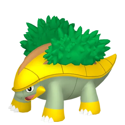 ハヤシガメの画像