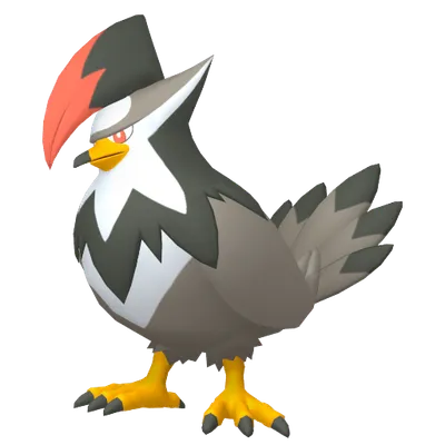 ムクホークの画像