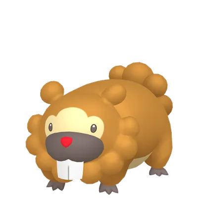 ビッパの画像