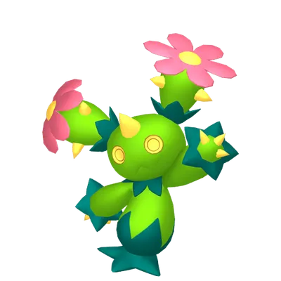 マラカッチの画像