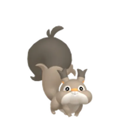 ホシガリスの画像