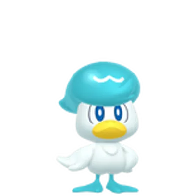 クワッスの画像