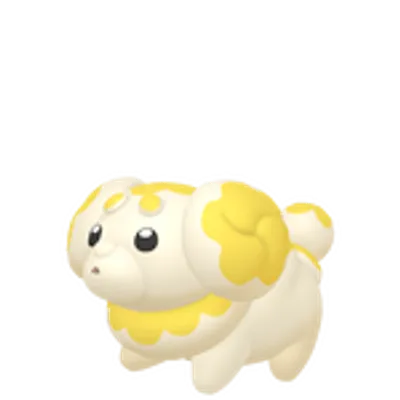 パピモッチの画像