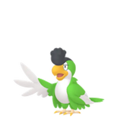 イキリンコの画像