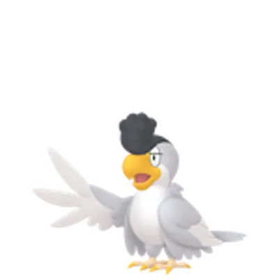 イキリンコの画像