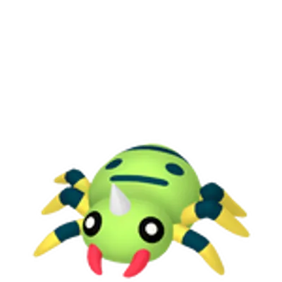 イトマルの画像