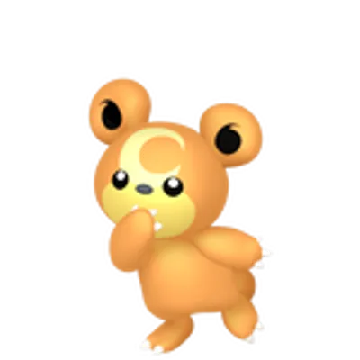ヒメグマの画像