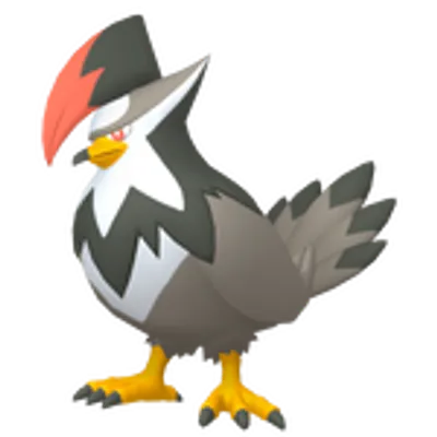 ムクホークの画像