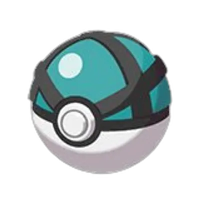 ネットボールの画像