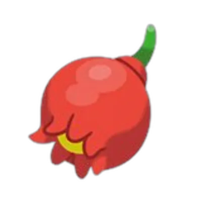 ザロクのみの画像