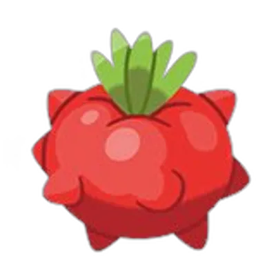 マトマのみの画像