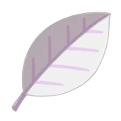 しろいハーブの画像