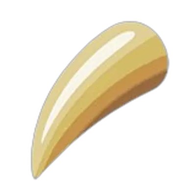 せんせいのツメの画像