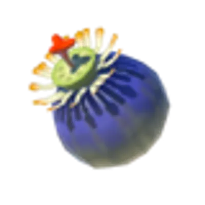 バクダン花の画像