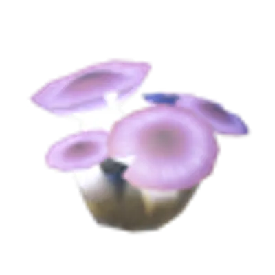 231 アカリダケの画像