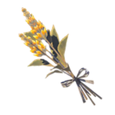 239 ビリビリハーブの画像
