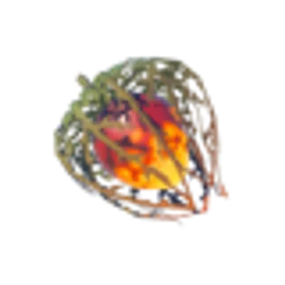 火炎の実の画像