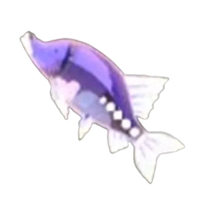 65 アカリホラウオの画像