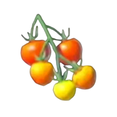 207 ハイラルトマトの画像