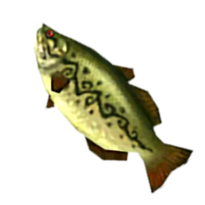 53 ハイラルバスの画像