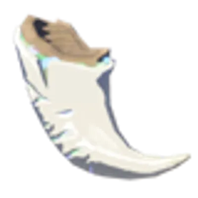 白龍の爪の画像