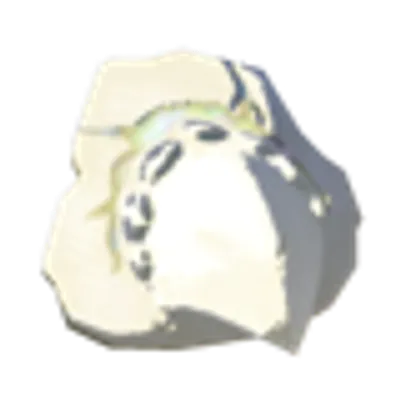 白龍の牙のかけらの画像