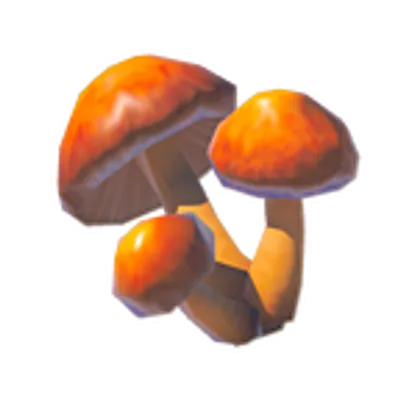 225 ポカポカダケの画像
