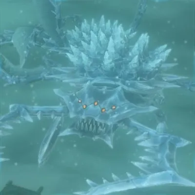 フリザゲイラの画像