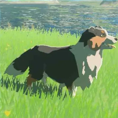 ハイリア犬の画像