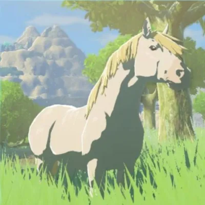 白馬の画像