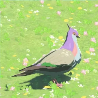 ナミバトの画像