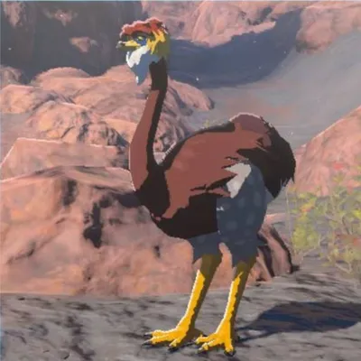 オルディンダチョウの画像