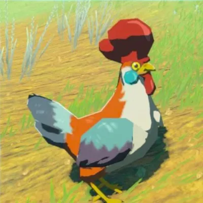コッコの画像