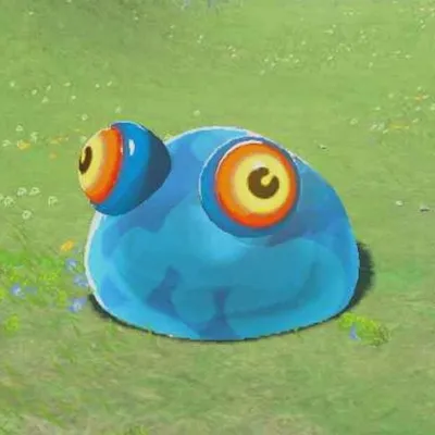 チュチュの画像