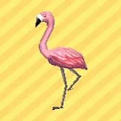 おすのフラミンゴの画像