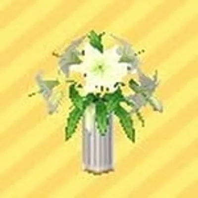 カサブランカの画像