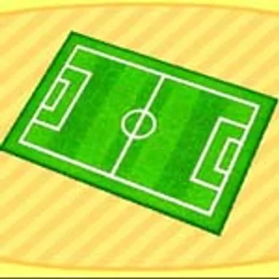 サッカーグラウンドのラグの画像