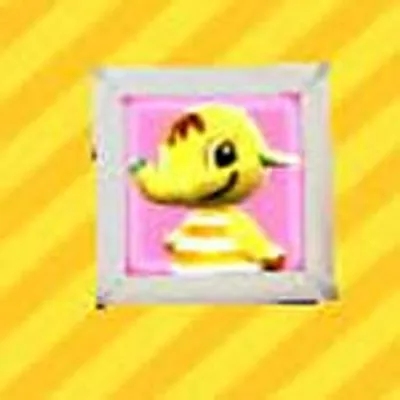 エレフィンのしゃしんの画像