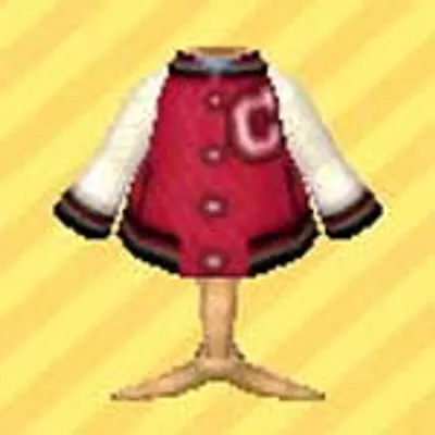 あかいスタジャンの画像