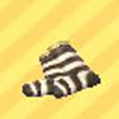 ボーダーソックスの画像